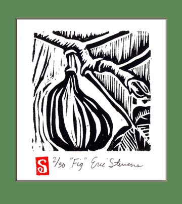 Fig Woodcut by Eric Stevens