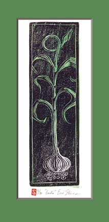 Garlic Woodcut Print by Eric Stevens